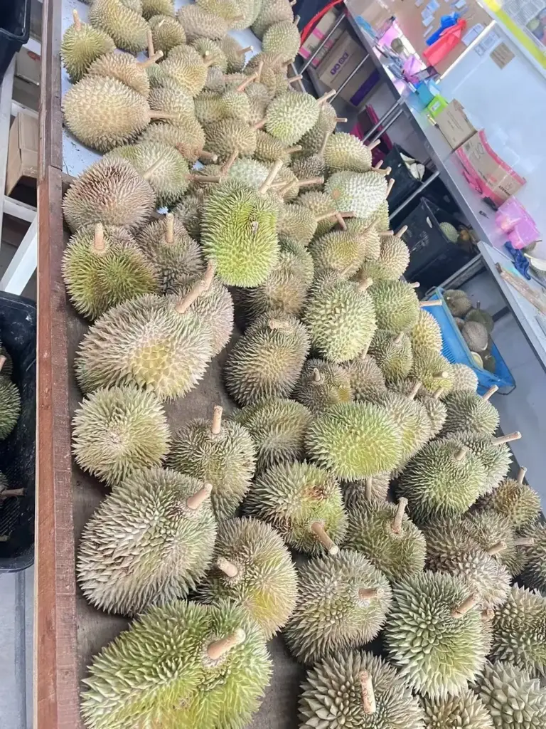 Malaysia2025.7 3