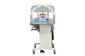 Y36